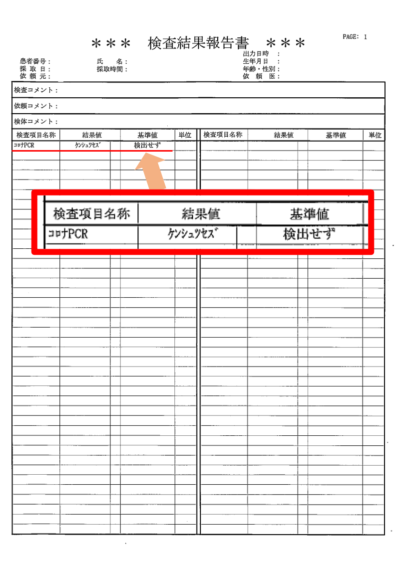 検査 結果 pcr 即日