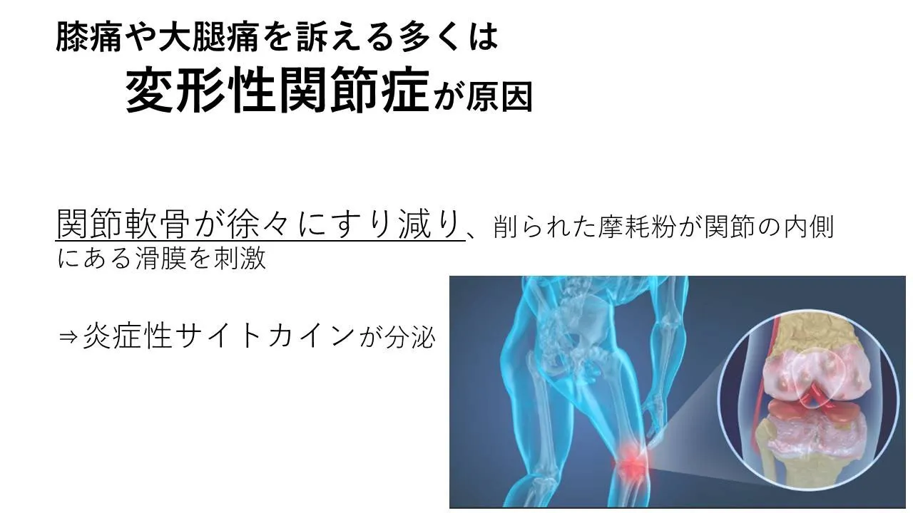 ひざ・股関節の痛み解消！