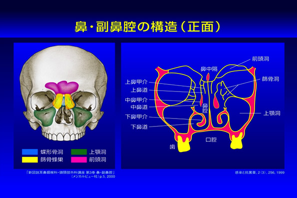 “耳鼻咽喉科”